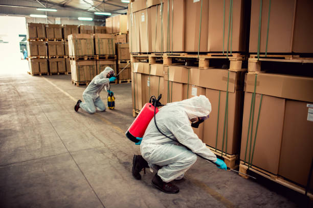 Best Mosquito Control Services  in Homer, GA