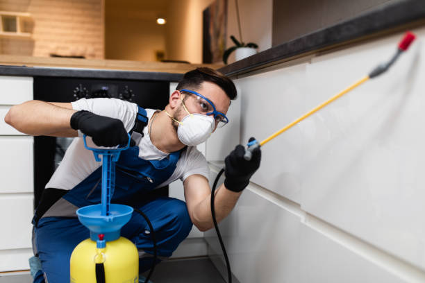 Professional Pest Control in Homer, GA