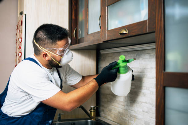 Best Emergency Pest Control  in Homer, GA