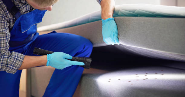 Best Exterminator Services  in Homer, GA